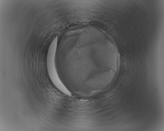 X0000076340818200610201728