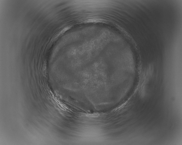 X0000076340825200610201728