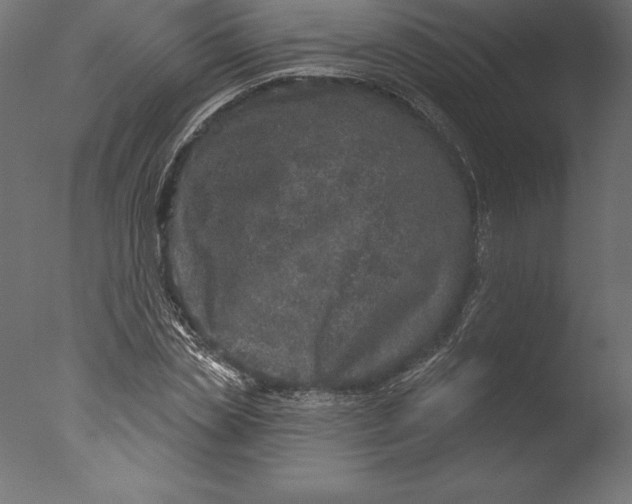 X0000076340829200610201728