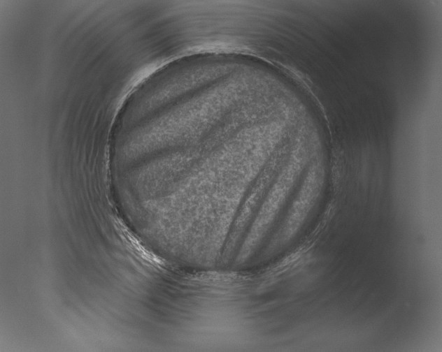 X0000076340831200610201728