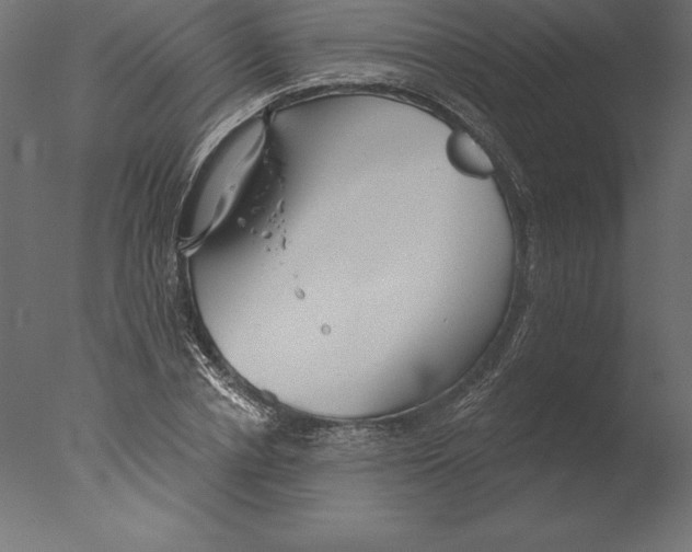 X0000076340834200610201728