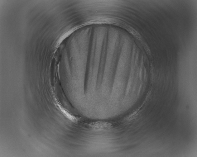 X0000076340842200610201729
