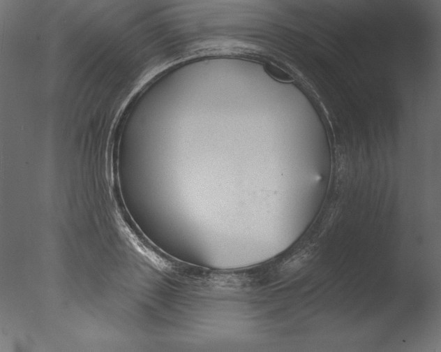 X0000076340843200610201729