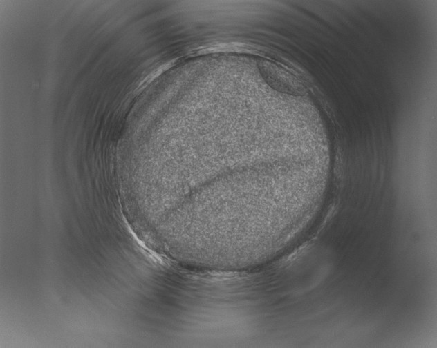 X0000076340849200610201729