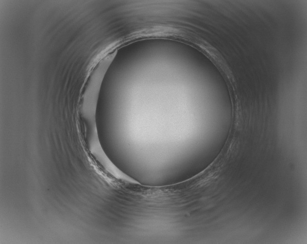 X0000076340850200610201729