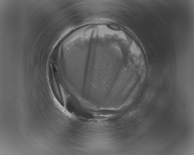 X0000076340851200610201729