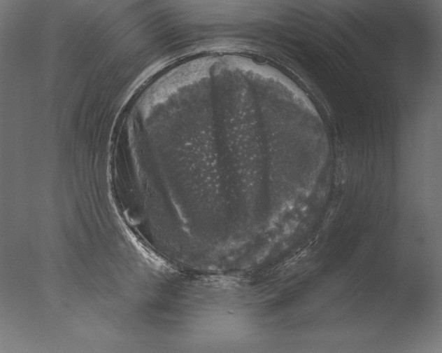 X0000076340853200610201729