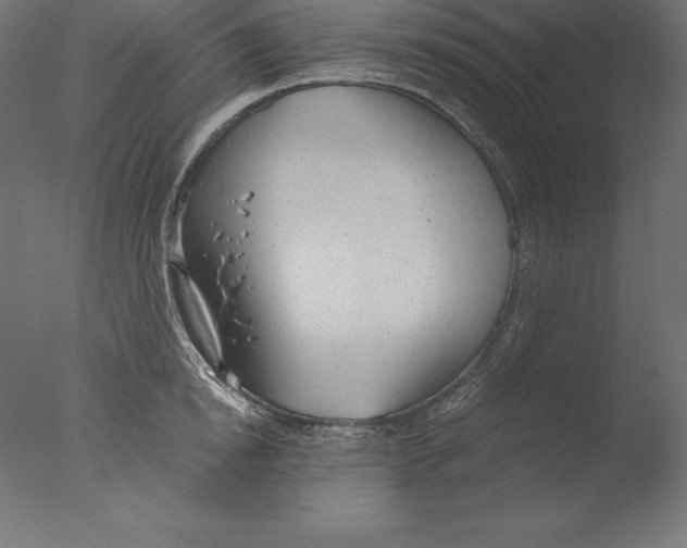 X0000076340854200610201729
