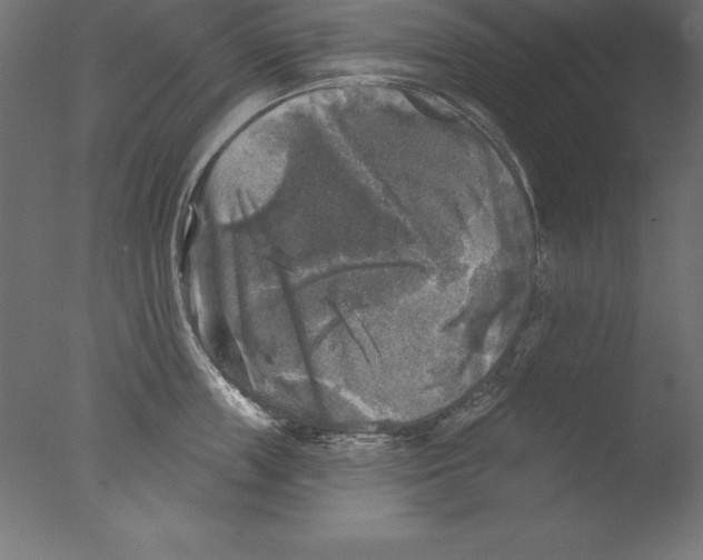 X0000076340859200610201729