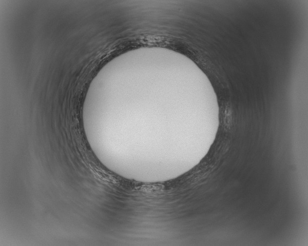 X0000076340865200610201728