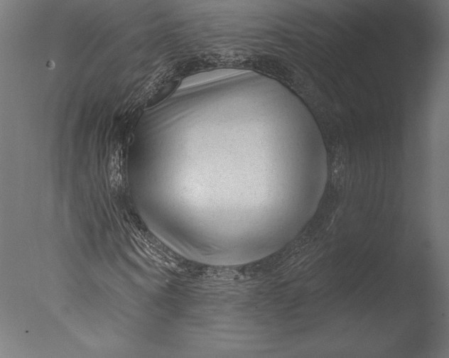 X0000076340866200610201728