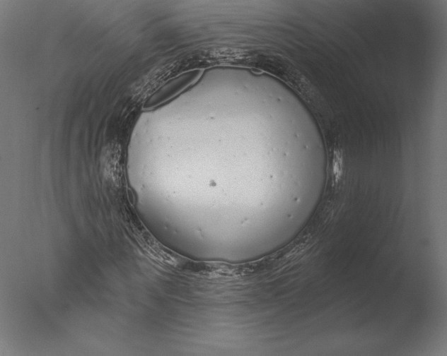 X0000076340867200610201728