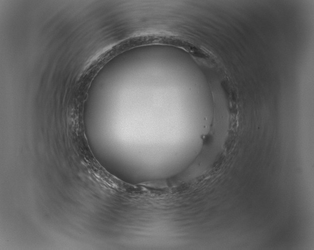 X0000076340872200610201728