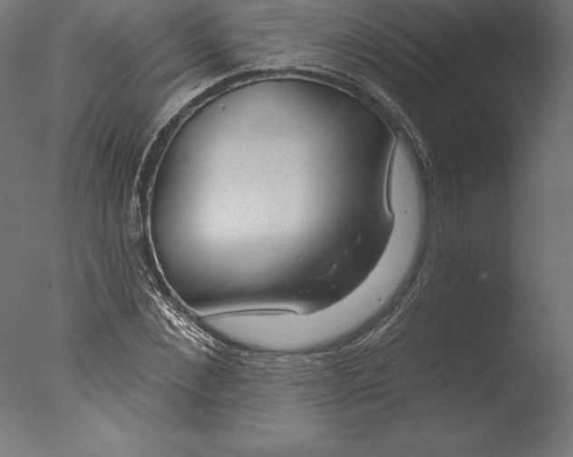 X0000076340876200610201728