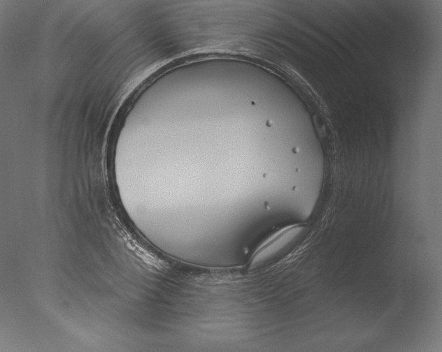 X0000076340884200610201728