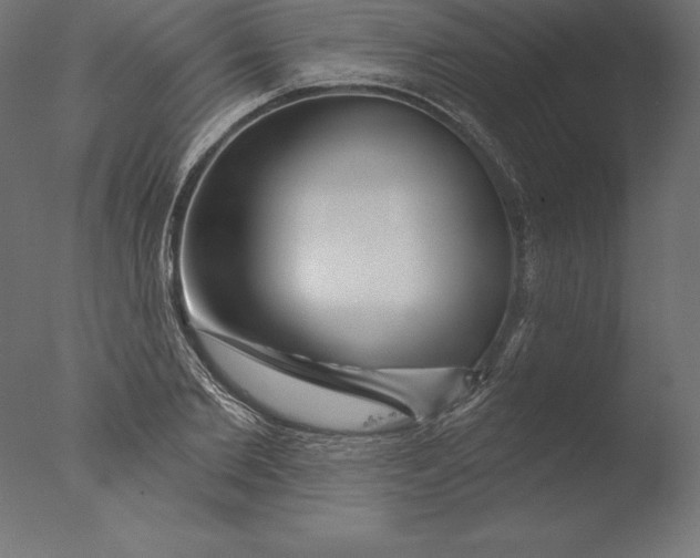 X0000076340885200610201728