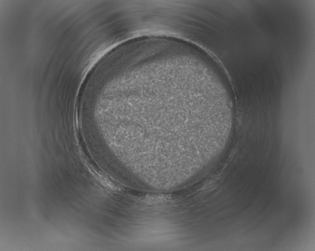 X0000076340887200610201728