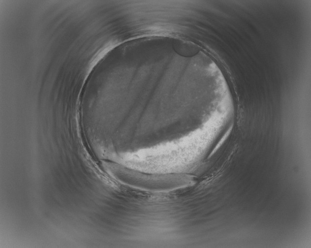 X0000076340899200610201728