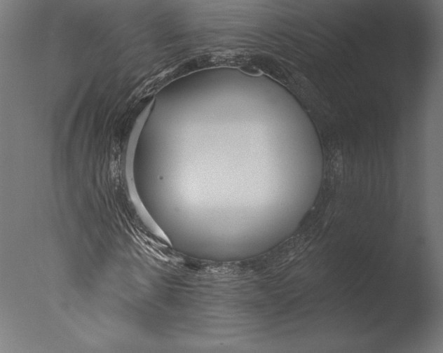 X0000076340914200610201727