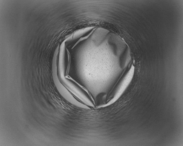 X0000076340916200610201727
