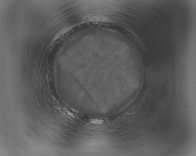 X0000076340919200610201727