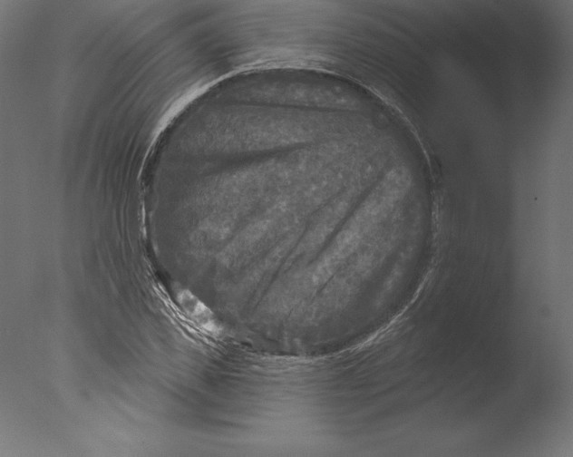 X0000076340925200610201727