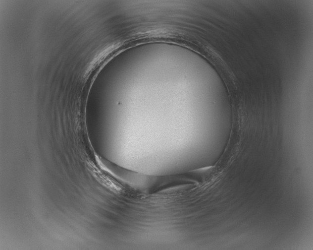X0000076340930200610201727