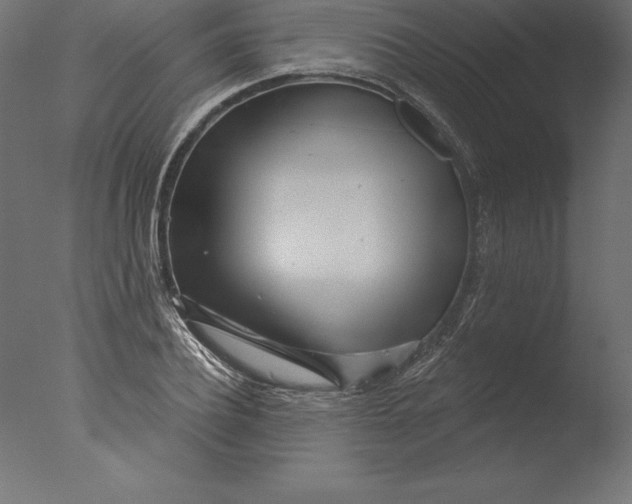 X0000076340932200610201727