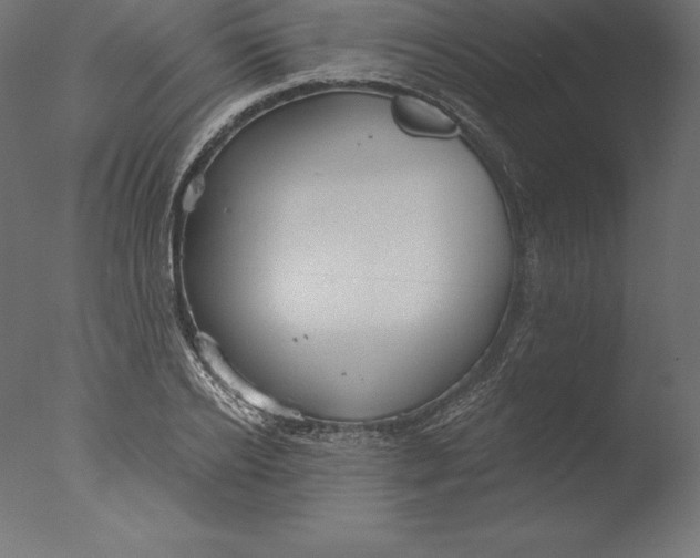 X0000076340934200610201727