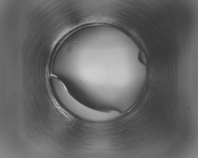 X0000076340936200610201727