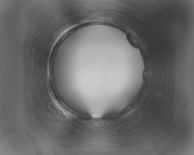 X0000076340940200610201727
