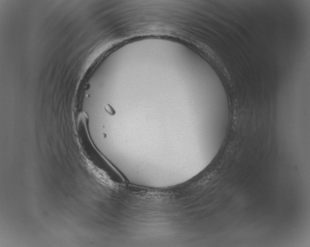 X0000076340942200610201727
