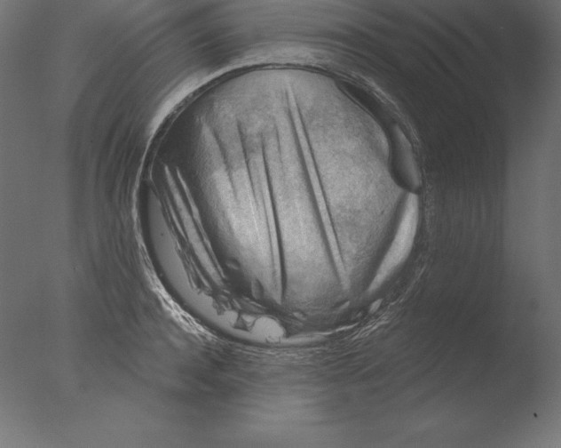 X0000076340944200610201727
