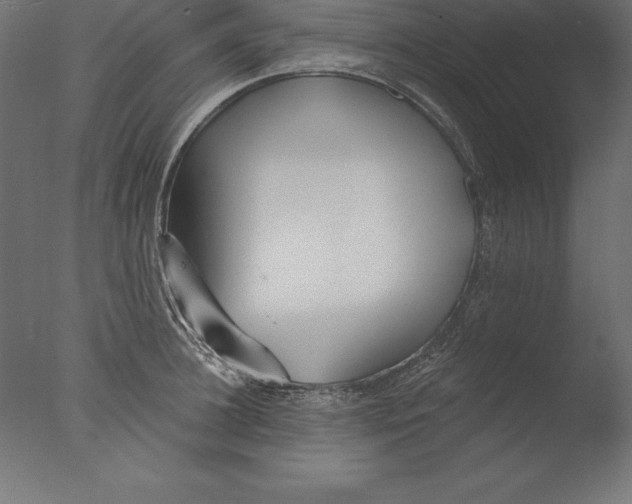X0000076340948200610201727