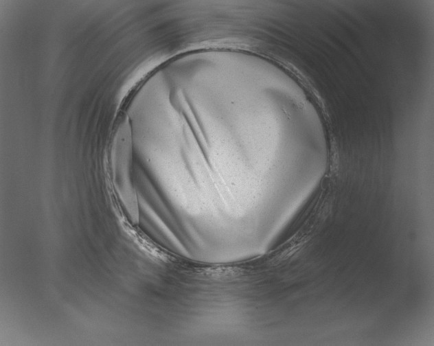 X0000076340952200610201727