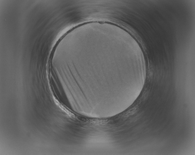 X0000076340958200610201727