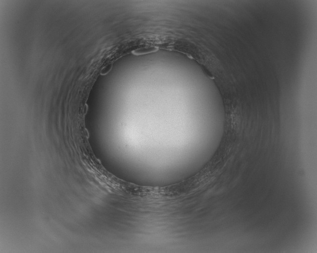 X0000076340961200610201727