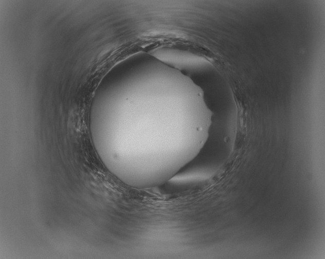 X0000076340965200610201726