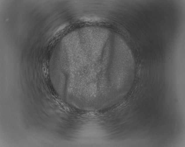 X0000076340966200610201726