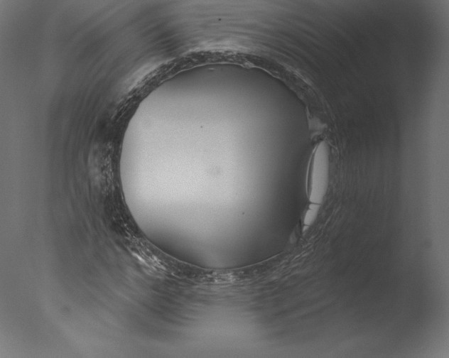 X0000076340968200610201726