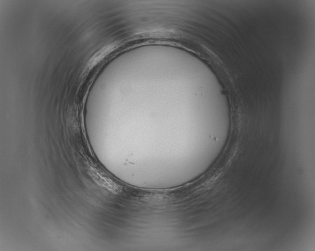 X0000076340970200610201726