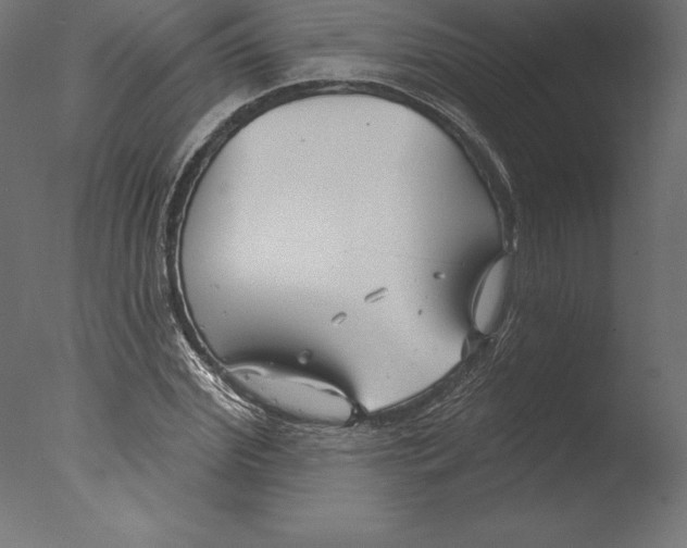 X0000076340972200610201726