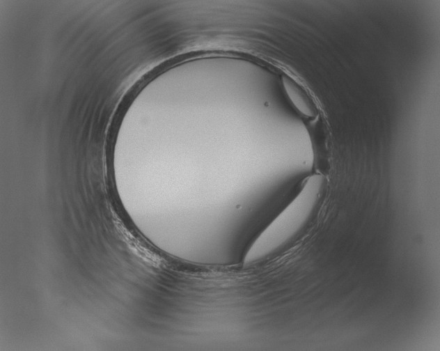 X0000076340980200610201726