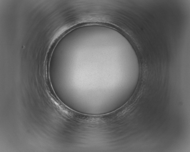 X0000076340982200610201726