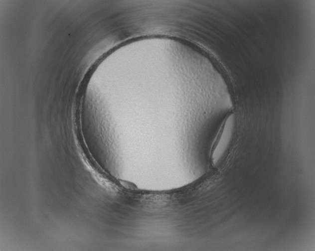 X0000076340991200610201726