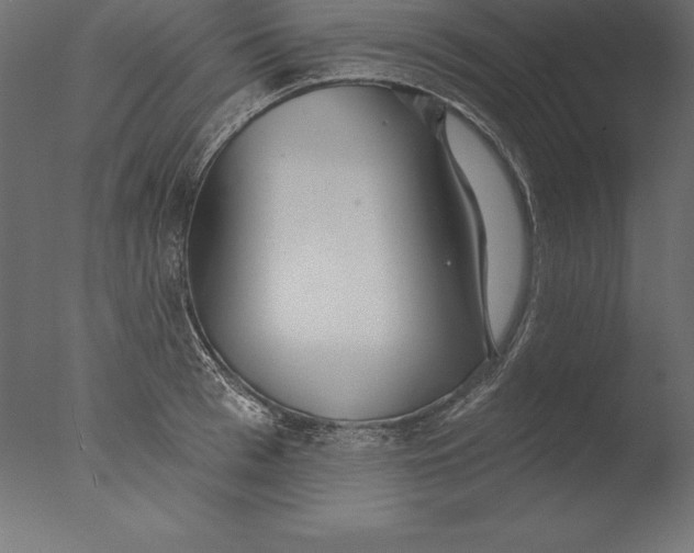 X0000076340993200610201726