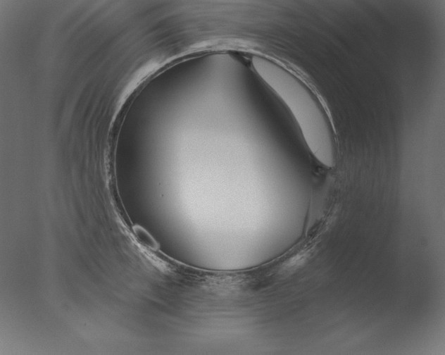 X0000076340997200610201726