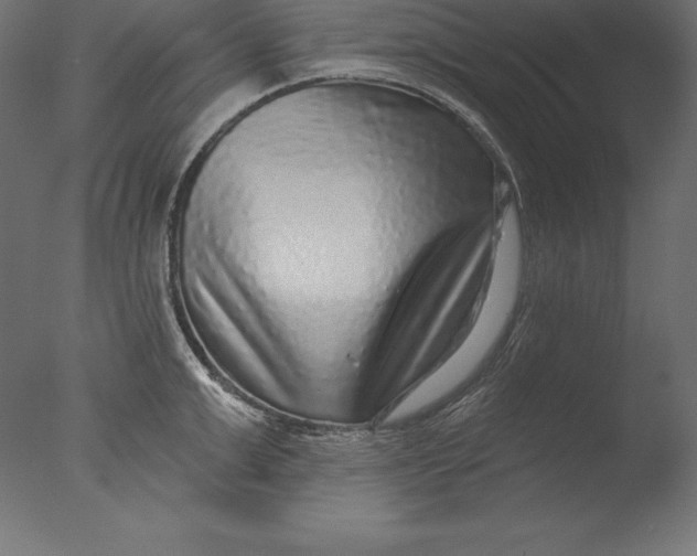 X0000076340999200610201726