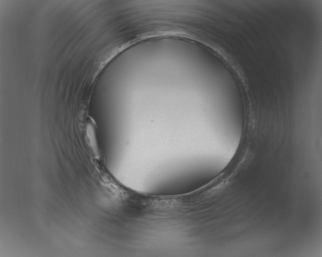 X0000076341001200610201726