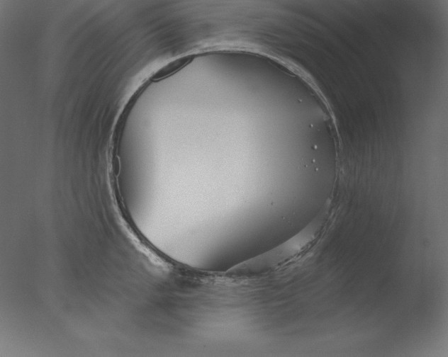 X0000076341005200610201726